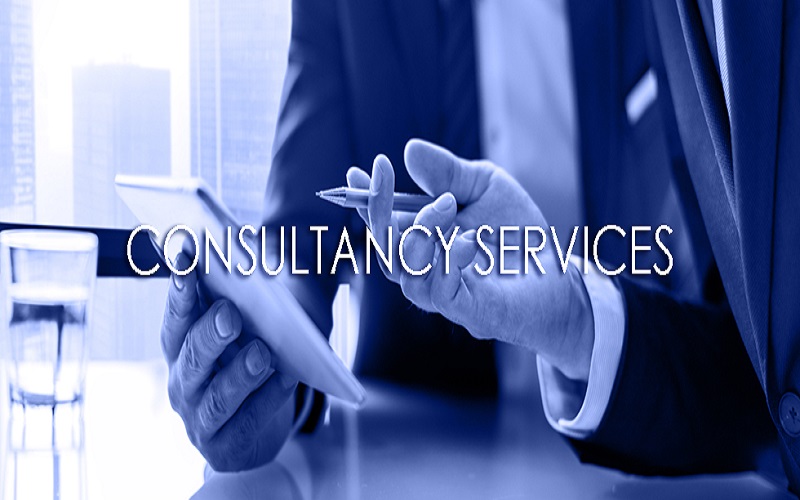 3. Consultancy